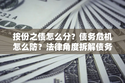 武汉按份之债怎么分？债务危机怎么防？法律角度拆解债务分配与风险自保指南