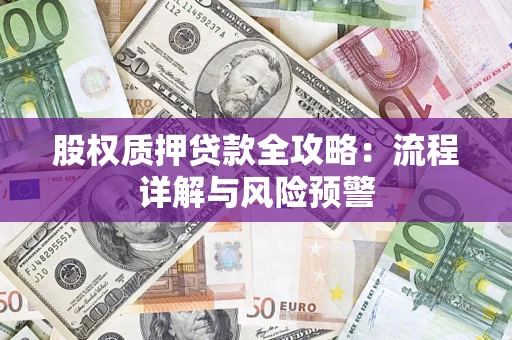 武汉股权质押贷款全攻略：流程详解与风险预警