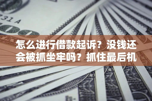 武汉怎么进行借款起诉？没钱还会被抓坐牢吗？抓住最后机会！