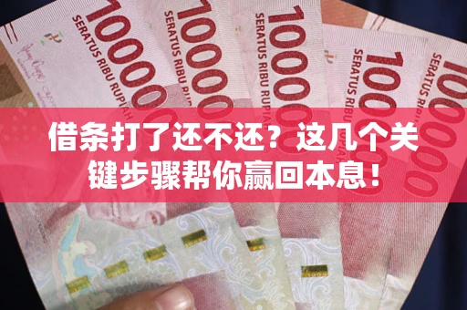 武汉借条打了还不还？这几个关键步骤帮你赢回本息！