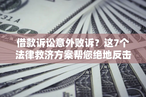 武汉借款诉讼意外败诉？这7个法律救济方案帮您绝地反击！