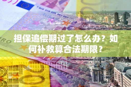 武汉担保追偿期过了怎么办？如何补救算合法期限？