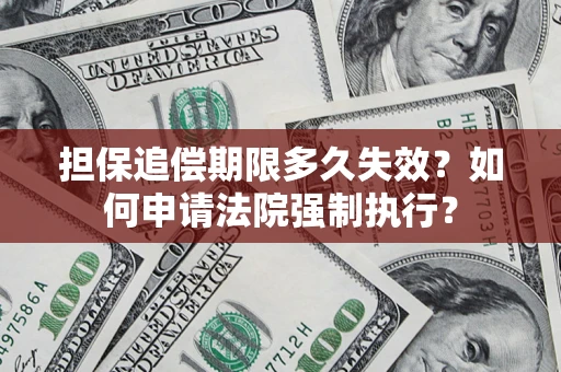 武汉担保追偿期限多久失效？如何申请法院强制执行？