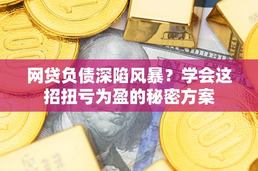 武汉网贷负债深陷风暴？学会这招扭亏为盈的秘密方案