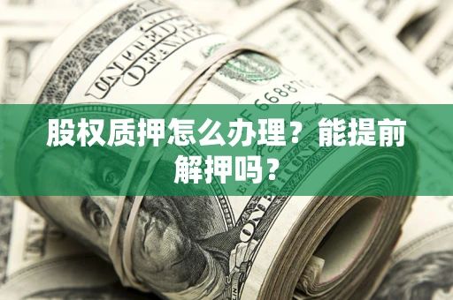 武汉股权质押怎么办理？能提前解押吗？